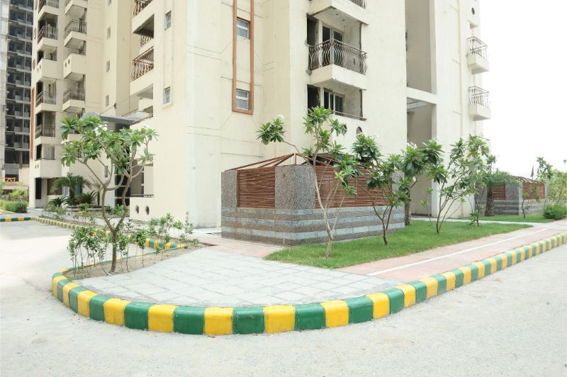 August-2019 31